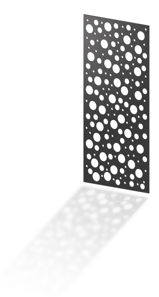 Image SPOT AE-AS-037009